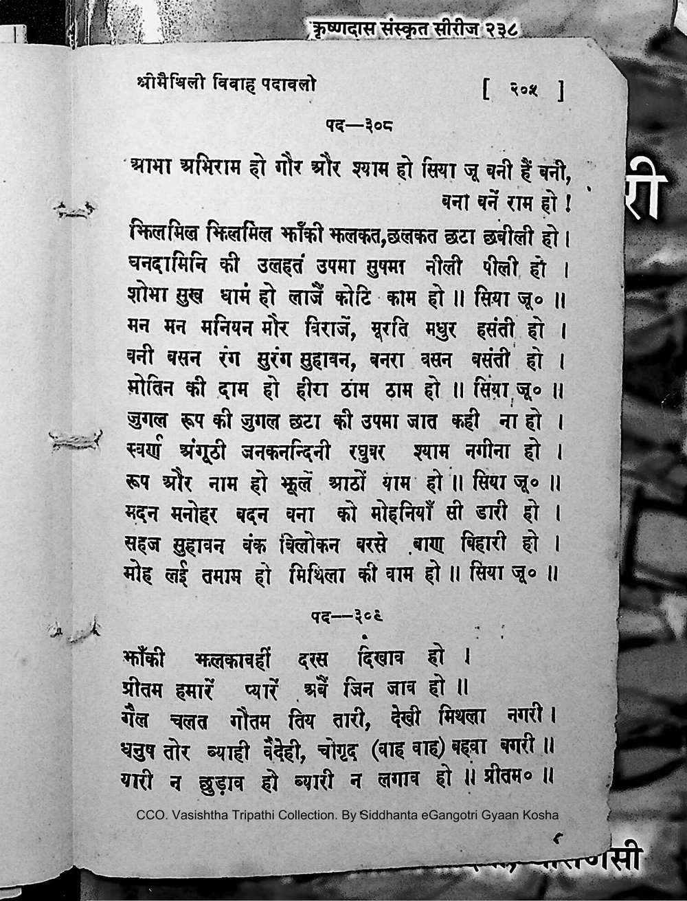Facsimile of source page 219 from Sri Maithili Vivaha Padavali